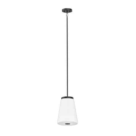 Suspension - Robson Hall - DVI - DVP48519SN-TO