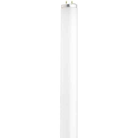 Fluorescent 14 watts, 4100K - Fluorescent linéaire préchauffage - SATCO - S26559