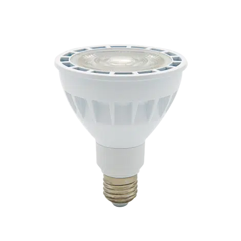 Ampoule DEL par30