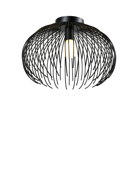 Plafonnier - Collection 439 - iL - C439A-15A-BK