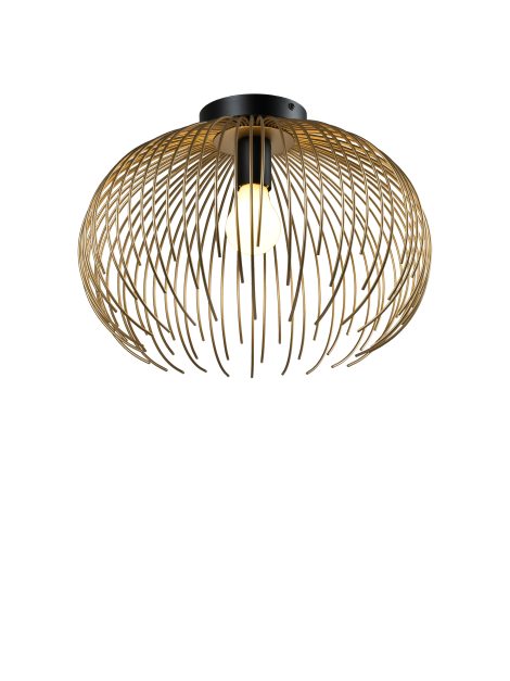 Plafonnier - Collection 439 - iL - C439A-15A-BKGD