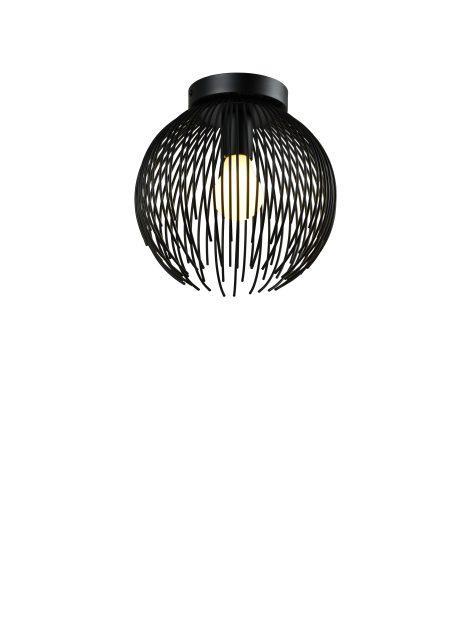 Plafonnier - Collection 439 - iL - C439A-9-BK