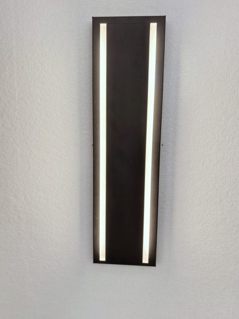 Murale DEL extérieure 18 pouces noire