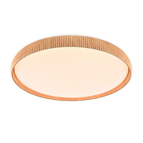 Plafonnier 20 pouces - FUNDY - DVI - DVP23248NW