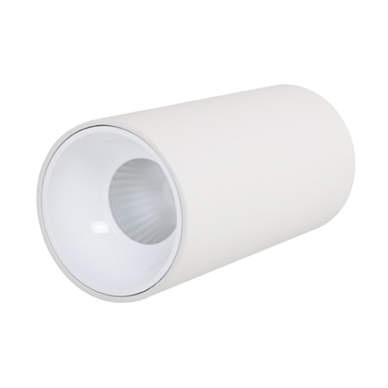 Plafonnier DEL blanc sans canopé 30W, sélectable en kelvin