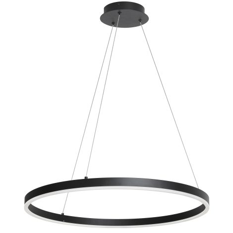 Suspension - CIRCULO - Dainolite - CIR-2434C-5CCT-MB