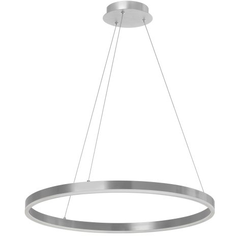Suspension - CIRCULO - Dainolite - CIR-2434C-5CCT-SV