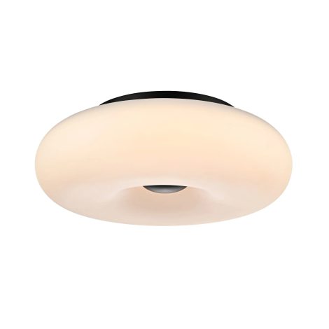 Plafonnier 11.75 pouces - PORTAGE - DVI - DVP24328EB-AO