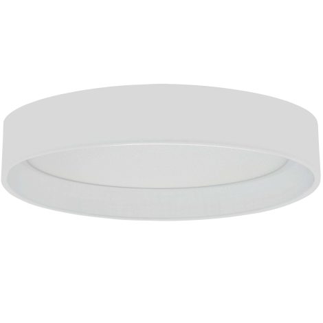 Plafonnier 16 pouces - KATHLEEN - Dainolite - KTN-1630LEDFH-790