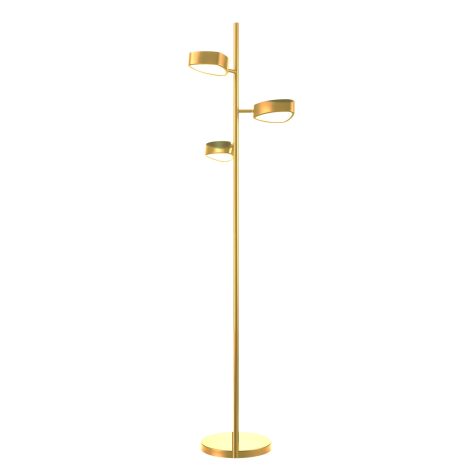 Lampe sur pied - NORTHEN MARCHES - DVI - DVP45409BR-OP