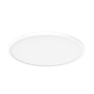 Plafonnier 19 pouces - Standard - 71430