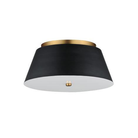 Plafonnier - MILES - MAXIMET2 - 10719WTBKNAB