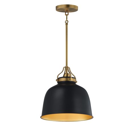 Suspension - HOLLIS - MAXIMET2 - 21424BKNAB