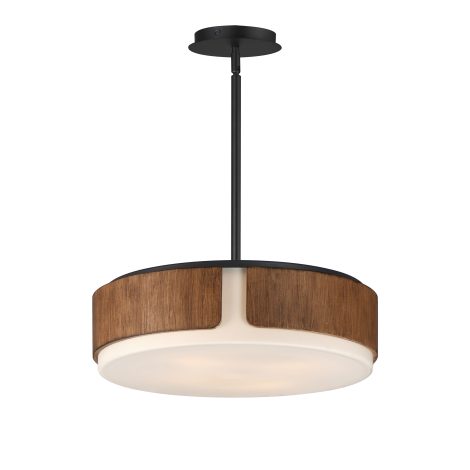 Suspension convertible en Plafonnier - DRAUGHTSMAN - MAXIMET2 - 21716SWWNBK
