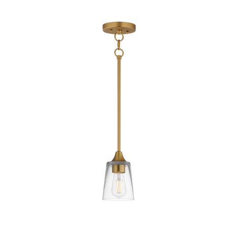 Suspension - HUDSON - MAXIMET2 - 92880CLNAB